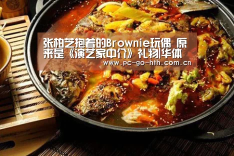 张柏芝抱着的Brownie玩偶 原来是《演艺家中介》礼物|华体会(图4) 华体会官网