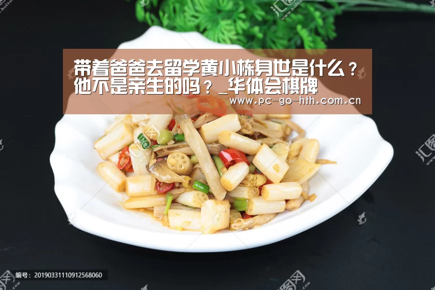 带着爸爸去留学黄小栋身世是什么?他不是亲生的吗?_华体会棋牌(图3) 华体会官网