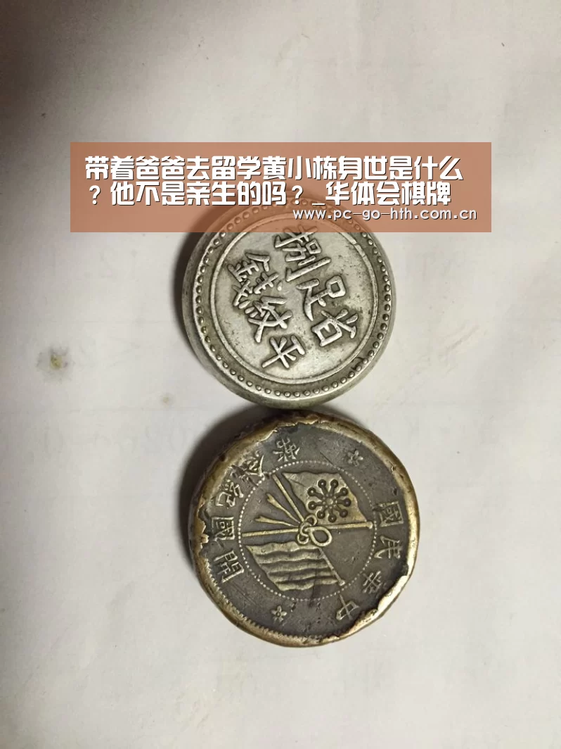 带着爸爸去留学黄小栋身世是什么?他不是亲生的吗?_华体会棋牌(图2) 华体会入口