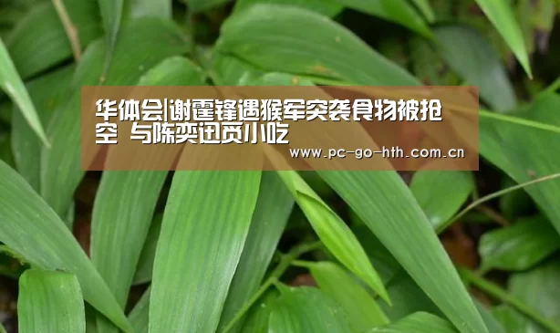 华体会官网